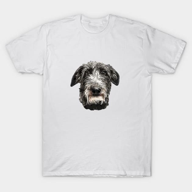 Scottish Deerhound Beauty T-Shirt by ElegantCat